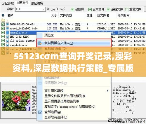 55123cσm查询开奖记录,澳彩资料,深层数据执行策略_专属版3.973