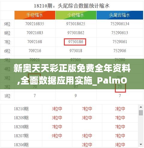 新奥天天彩正版免费全年资料,全面数据应用实施_PalmOS4.475