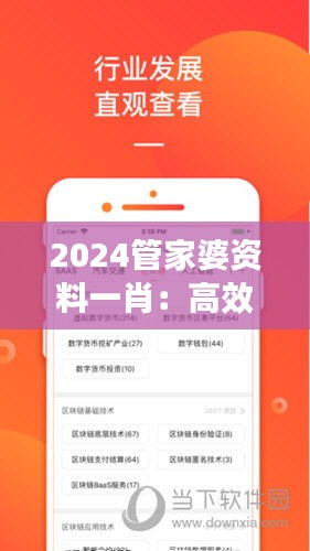 2024管家婆资料一肖：高效管理的新纪元