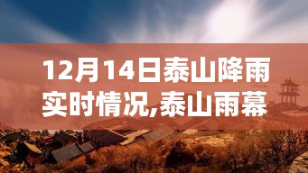 泰山雨幕，壮丽画卷展现于12月14日