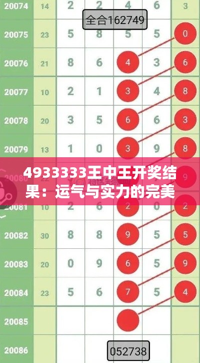 4933333王中王开奖结果：运气与实力的完美结合