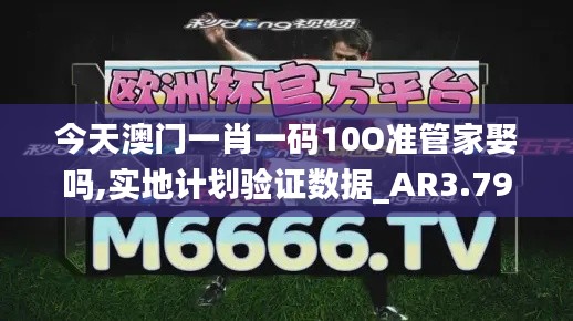 今天澳门一肖一码10O准管家娶吗,实地计划验证数据_AR3.796