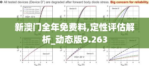 新澳门全年免费料,定性评估解析_动态版9.263