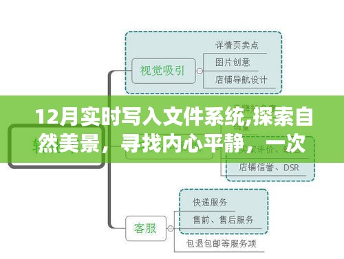 12月实时写入文件系统，探寻自然美景与内心平静的奇妙旅程