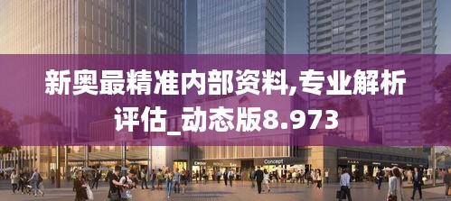 新奥最精准内部资料,专业解析评估_动态版8.973