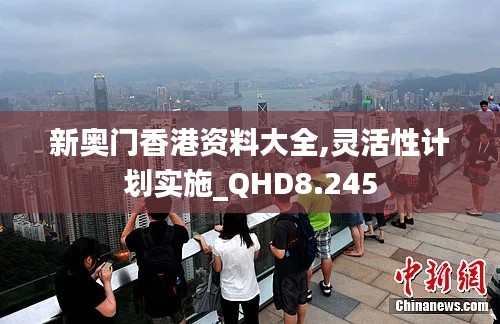 新奥门香港资料大全,灵活性计划实施_QHD8.245