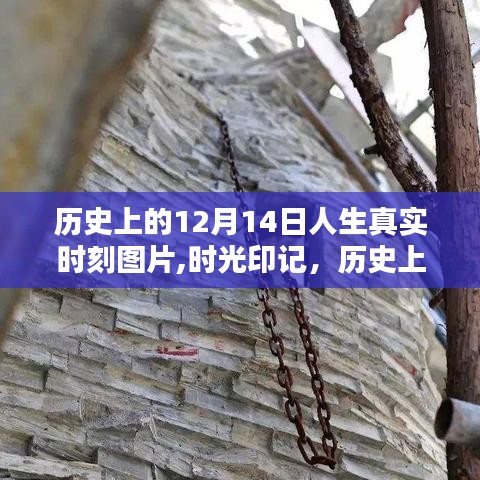 时光印记，历史上的12月14日珍贵人生时刻图片回顾