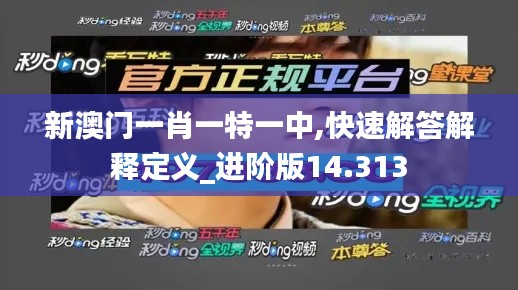 新澳门一肖一特一中,快速解答解释定义_进阶版14.313