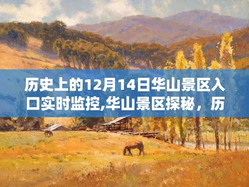 华山景区探秘，历史上的12月14日与自然美景的不解之缘实时入口监控回顾