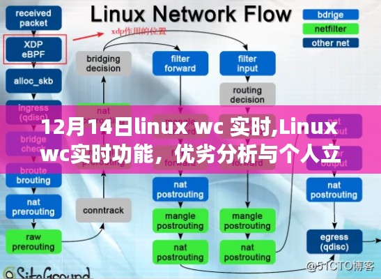 Linux wc实时功能深度解析，优劣分析与个人立场