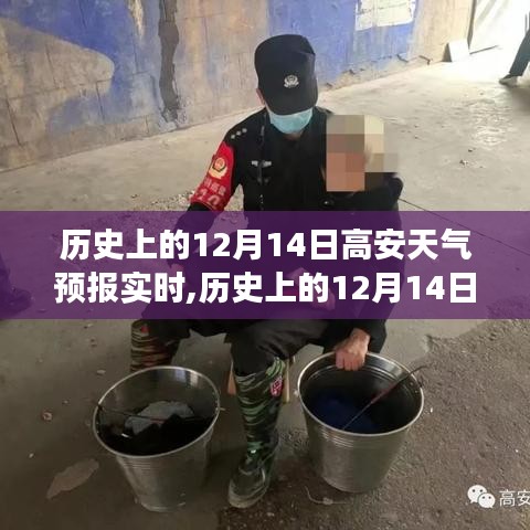 草间求活