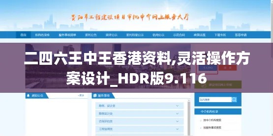 二四六王中王香港资料,灵活操作方案设计_HDR版9.116