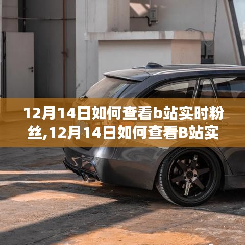 新手进阶指南，如何查看B站实时粉丝动态（12月14日版）