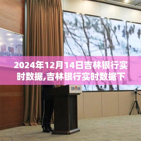 吉林银行实时数据下的金融发展展望，观点论述与未来展望（2024年12月14日）