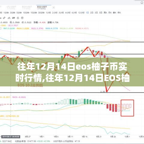 往年12月14日EOS柚子币实时行情解析与查询指南