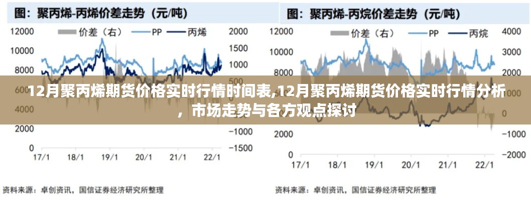 2024年12月16日 第11页