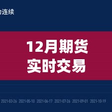 12月期货市场实时交易分布深度解析，市场脉动一目了然