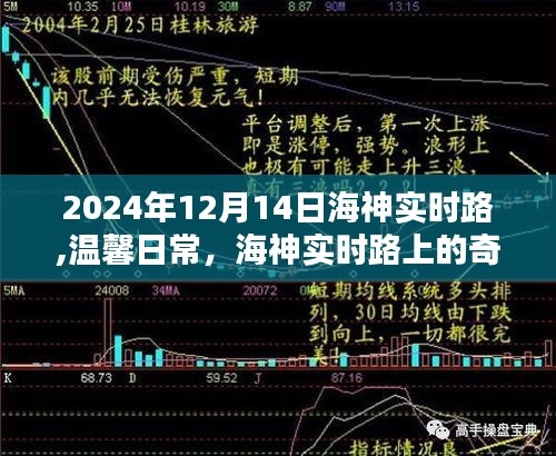 海神实时路上的奇遇与陪伴，温馨日常的记录与分享（2024年12月14日）