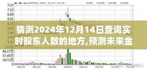 实时股东人数查询平台深度解析，预测未来金融动向的钥匙（2024年12月14日）