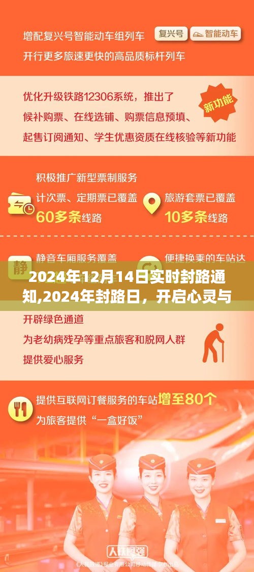 心灵与自然的美妙邂逅之旅，封路通知与封路日的启示