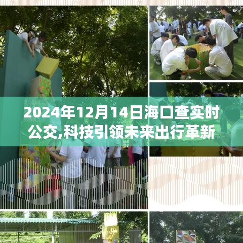 海口实时公交新纪元，科技引领未来出行革新探索（2024年报道）