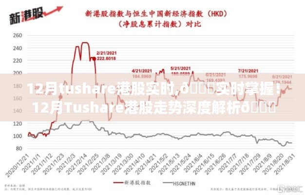 12月Tushare港股实时走势深度解析，掌握最新动态，洞悉市场趋势