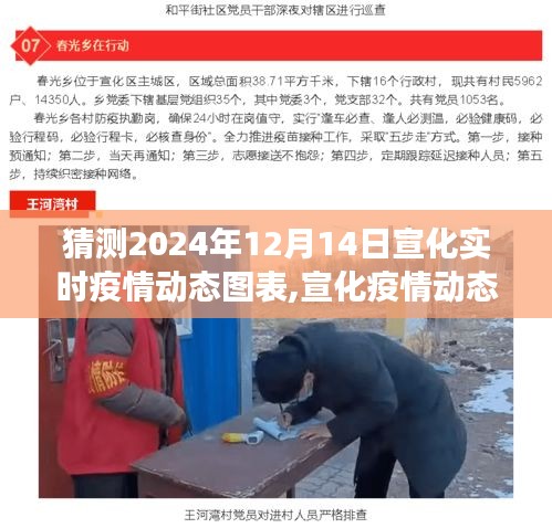 解读预测，宣化疫情动态图表预测报告——2024年12月14日宣化实时疫情数据解析与预测报告