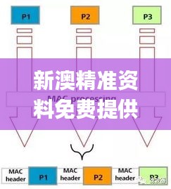 新澳精准资料免费提供52期,可靠数据解释定义_户外版6.255