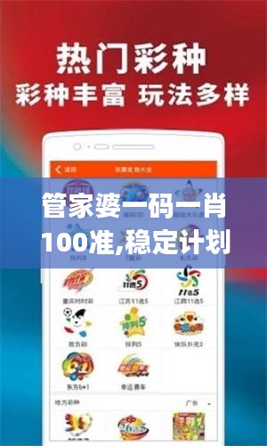 管家婆一码一肖100准,稳定计划评估_特供版17.176