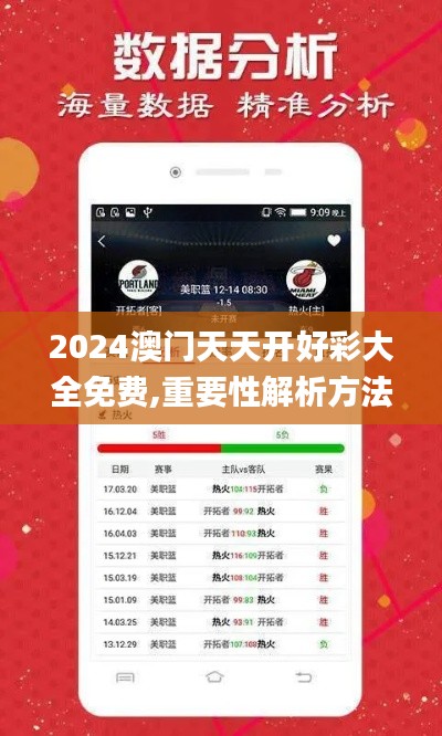 2024澳门天天开好彩大全免费,重要性解析方法_增强版13.630