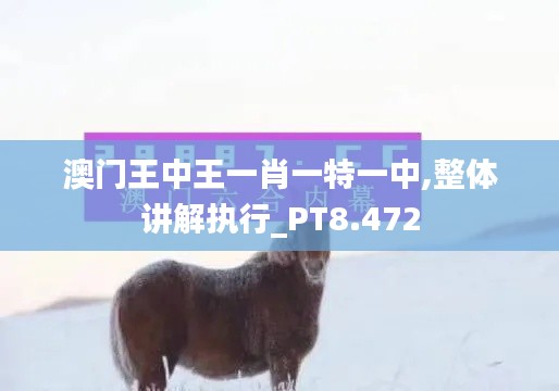 澳门王中王一肖一特一中,整体讲解执行_PT8.472