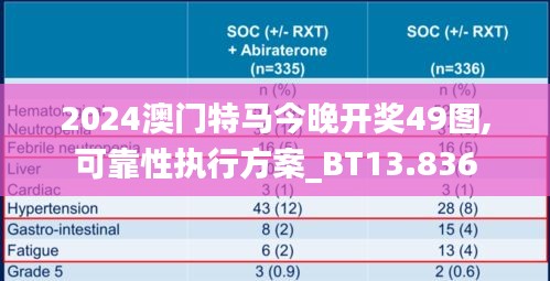 2024澳门特马今晚开奖49图,可靠性执行方案_BT13.836