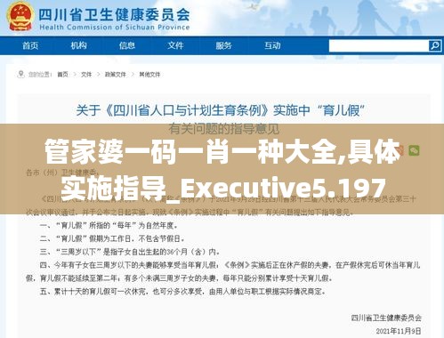 管家婆一码一肖一种大全,具体实施指导_Executive5.197