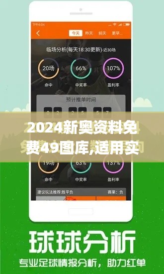 2024新奥资料免费49图库,适用实施计划_旗舰版6.216