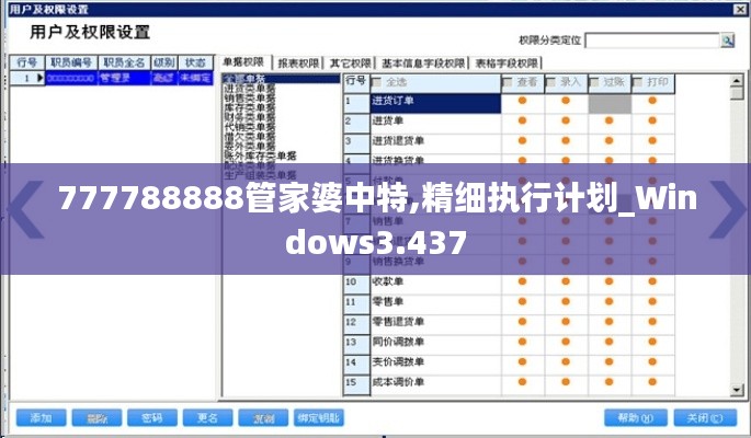 777788888管家婆中特,精细执行计划_Windows3.437