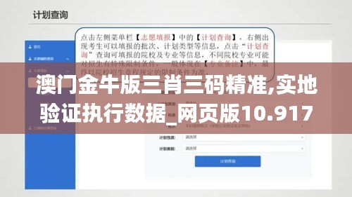 澳门金牛版三肖三码精准,实地验证执行数据_网页版10.917