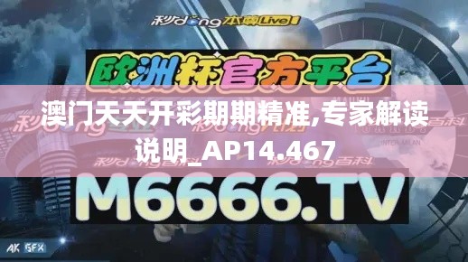 澳门天天开彩期期精准,专家解读说明_AP14.467