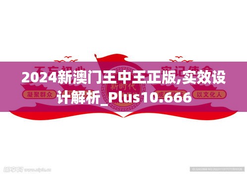 2024新澳门王中王正版,实效设计解析_Plus10.666