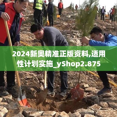 2024新奥精准正版资料,适用性计划实施_yShop2.875