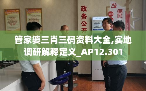 管家婆三肖三码资料大全,实地调研解释定义_AP12.301