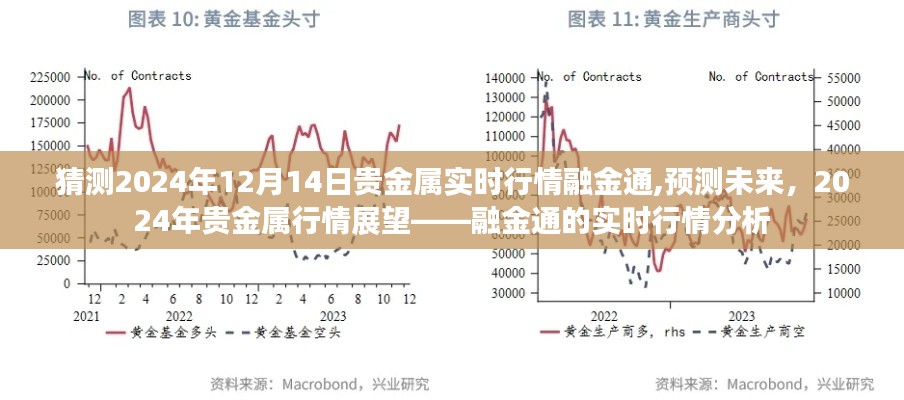 融金通贵金属行情展望，预测未来贵金属实时行情分析（2024年贵金属行情展望）