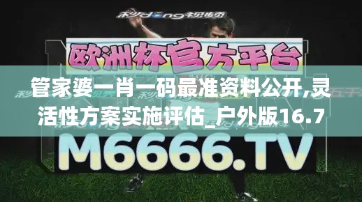 管家婆一肖一码最准资料公开,灵活性方案实施评估_户外版16.761