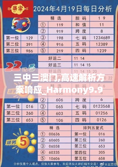 三中三澳门,高速解析方案响应_Harmony9.973