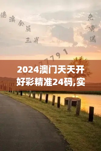 2024澳门天天开好彩精准24码,实地数据验证计划_Premium5.484