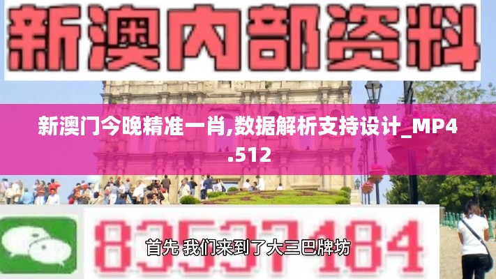 新澳门今晚精准一肖,数据解析支持设计_MP4.512