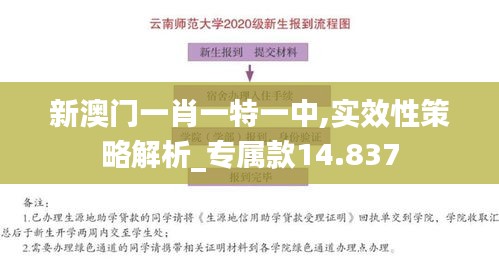 新澳门一肖一特一中,实效性策略解析_专属款14.837