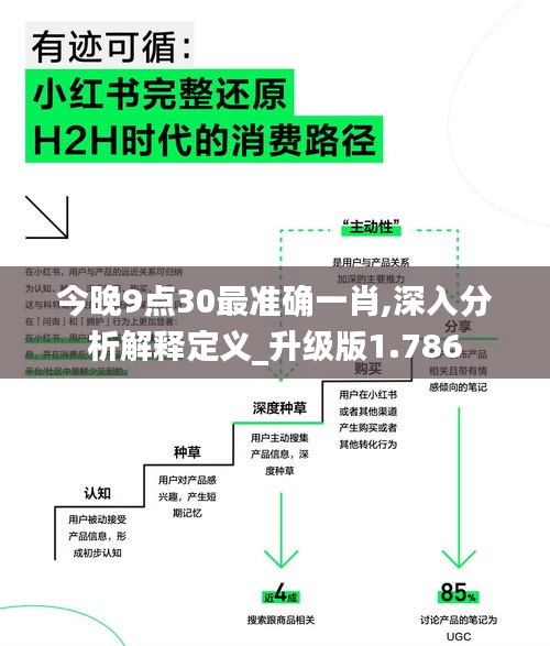 今晚9点30最准确一肖,深入分析解释定义_升级版1.786