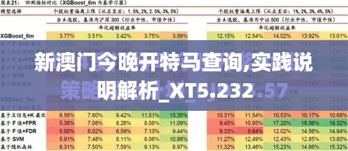 新澳门今晚开特马查询,实践说明解析_XT5.232