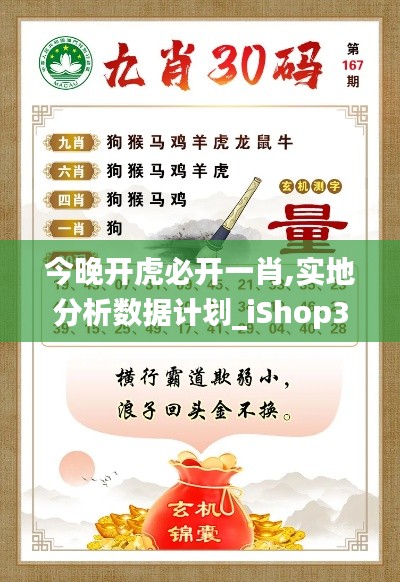 今晚开虎必开一肖,实地分析数据计划_iShop3.954