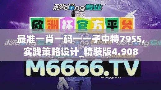 最准一肖一码一一子中特7955,实践策略设计_精装版4.908